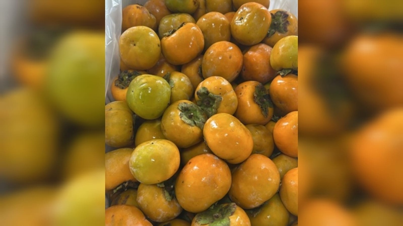 Sesc Mesa Brasil recebe mais de 2,8 toneladas de caqui em doação em Erechim