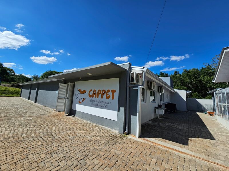 Erechim tem programa municipal gratuito para castração de pets