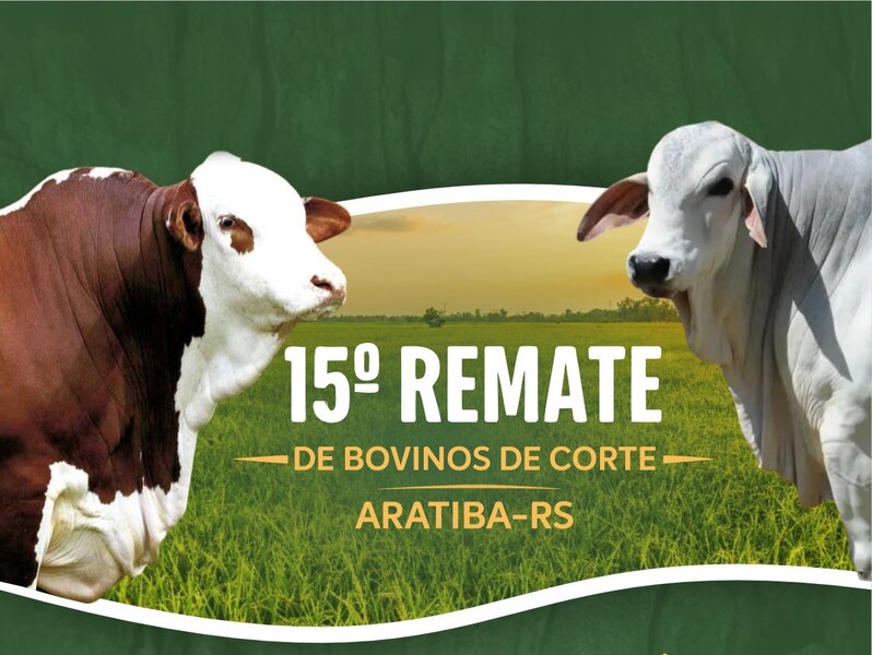 15º Remate de Bovinos de Corte acontece hoje em Aratiba