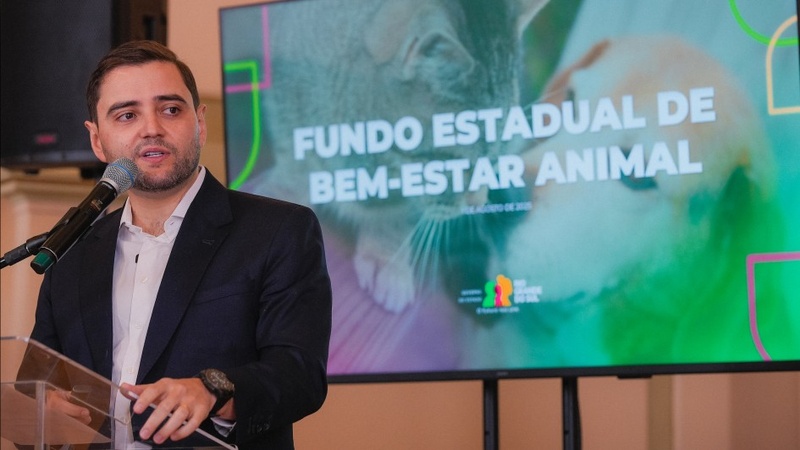 RS aprova fundo inédito para proteção animal e garante recursos permanentes para cuidar de pets em vulnerabilidade