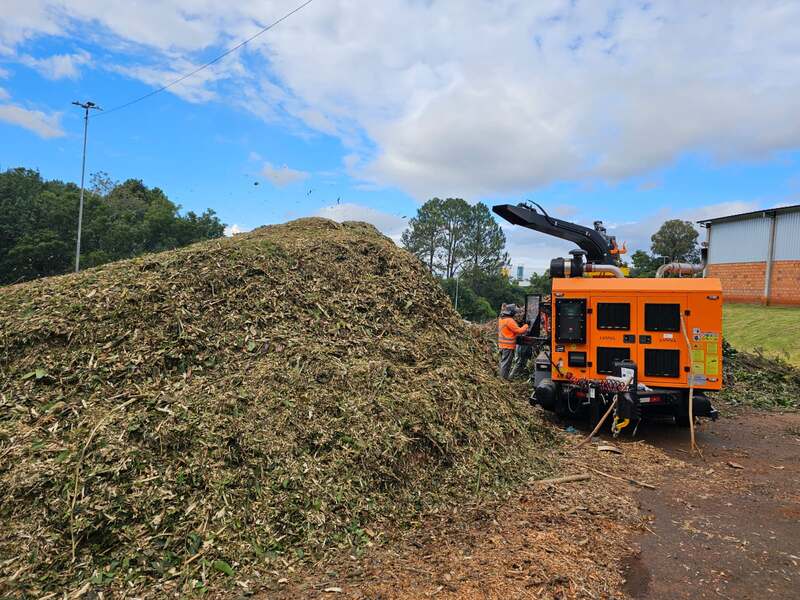 Erechim transforma resíduos de podas em adubo e fortalece ações de sustentabilidade