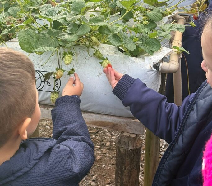 Semana do Brincar proporciona vivência de aprendizado e conexão com a natureza para crianças da Educação Infantil da Escola Maria Clara
