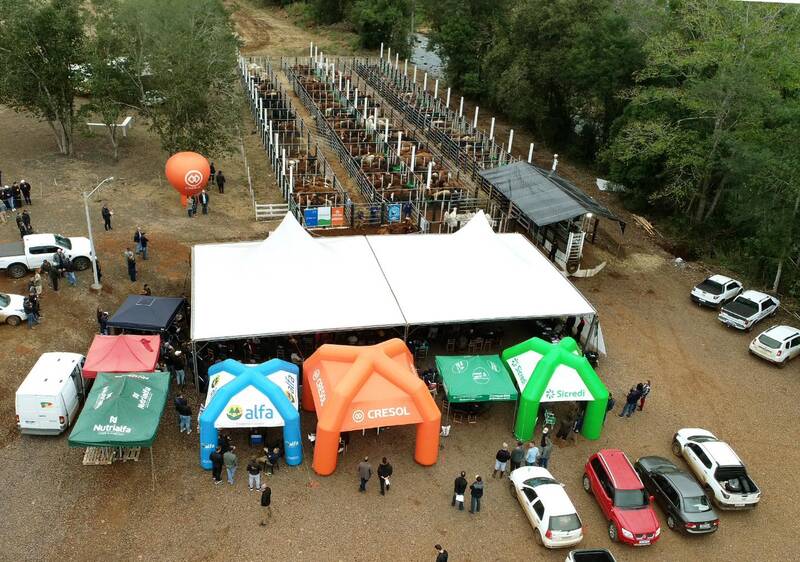 7º Remate de Bovinos de Corte movimenta mais de R$ 1,4 milhão em Barra do Rio Azul