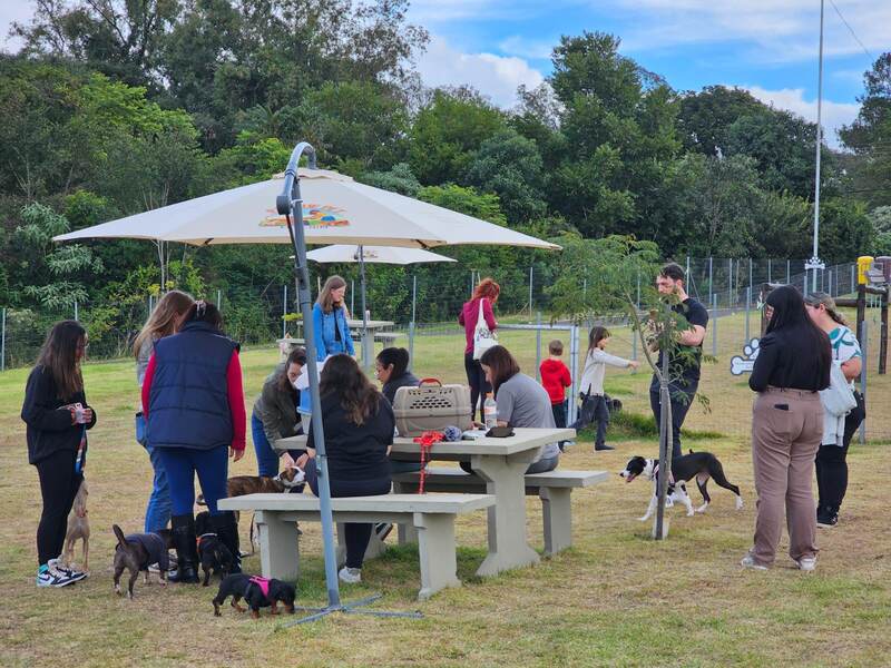 Cães resgatados recebem uma segunda chance durante feira de adoção em Erechim