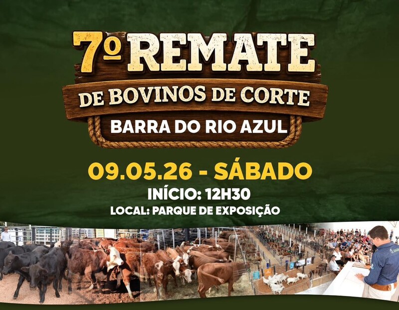Acompanhe ao vivo: 7º Remate de Bovinos de Corte de Barra do Rio Azul