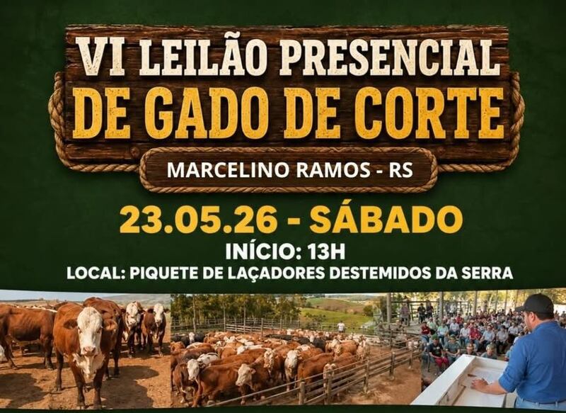 VI Leilão Presencial de Gado de Corte de Marcelino Ramos
