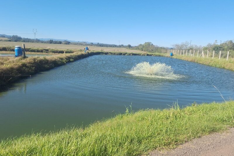 Manejo adequado no inverno é decisivo para manter produção de peixes