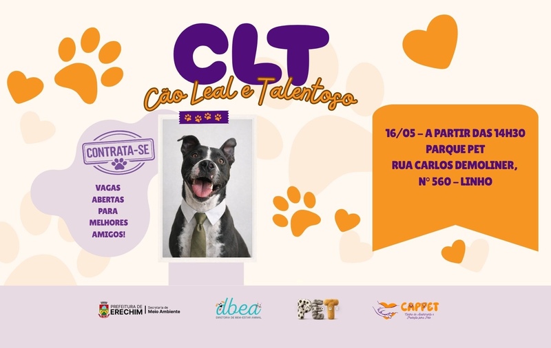 Feira “CLT – Cão Leal e Talentoso” busca novo lar para pets em Erechim neste sábado