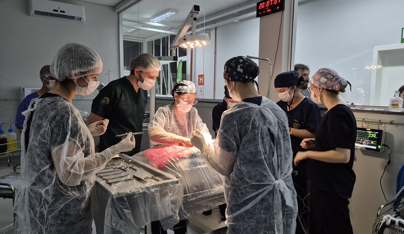 URI Erechim oferece pós-graduação com bolsa integral e remuneração para médicos-veterinários
