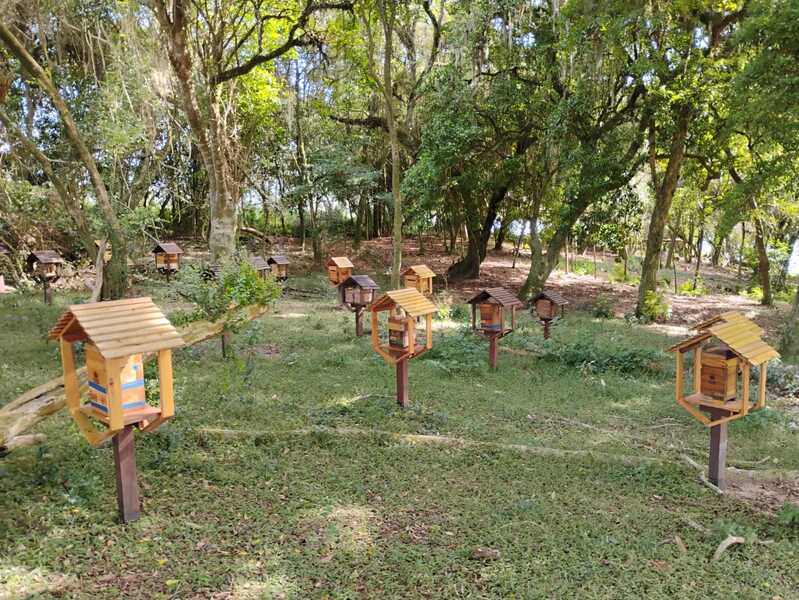 Declaração Anual de Rebanho irá identificar criações de abelhas sem ferrão no RS