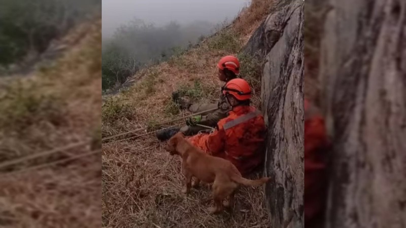 Cão emociona bombeiros ao acompanhar resgate do tutor por 17 horas no Ceará