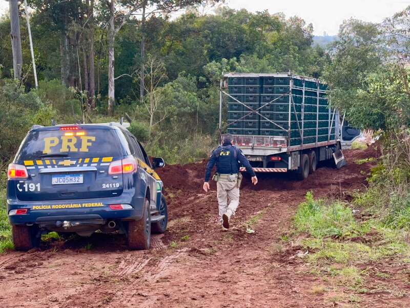 PRF apreende quase uma tonelada de maconha e pistola com seletor de rajada em Passo Fundo