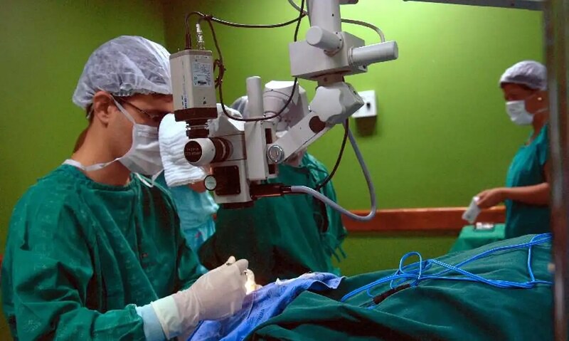 Rio Grande do Sul ultrapassa a marca de 1.090 transplantes em 2026