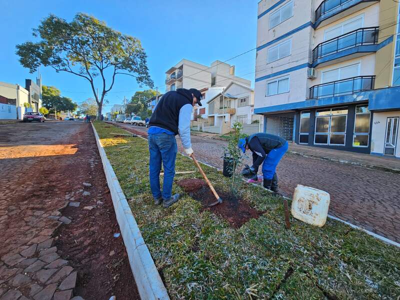 Prefeitura conclui revitalização do canteiro central da Rua Monteiro Lobato e amplia programa de arborização urbana