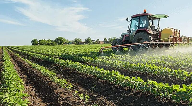 Produtores rurais poderão renegociar dívidas em até 10 anos após regulamentação de nova linha de crédito