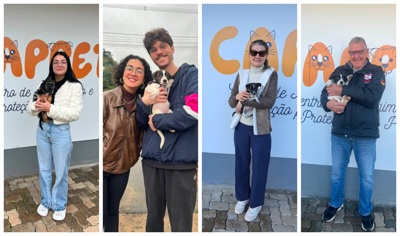 Centro de Acolhimento e Proteção para Pets registra mais de 60 adoções de animais abandonados em um mês e meio