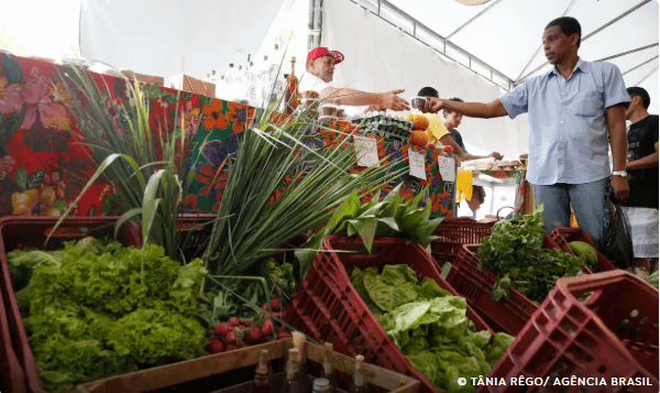 Governo adia para 2027 exigências da reforma tributária para autônomos e produtores rurais