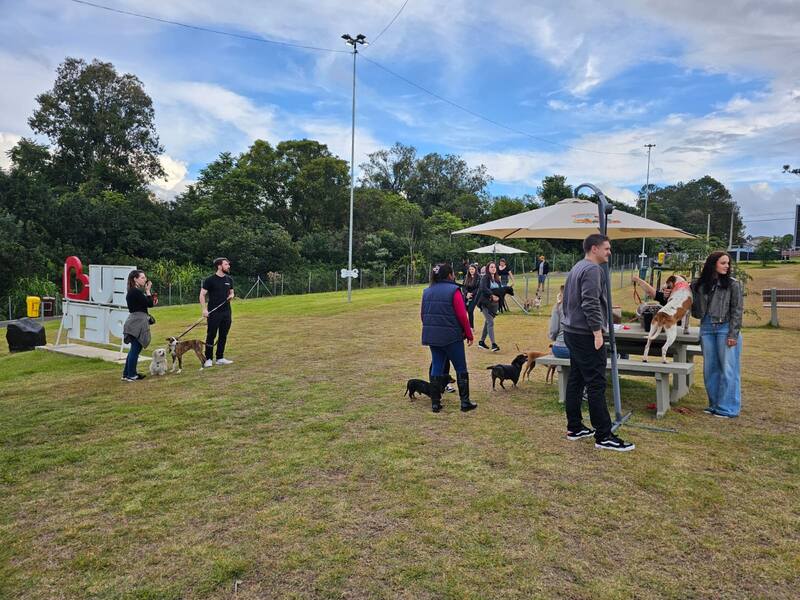 Feira de Adoção em Erechim busca um novo lar para 12 cães resgatados