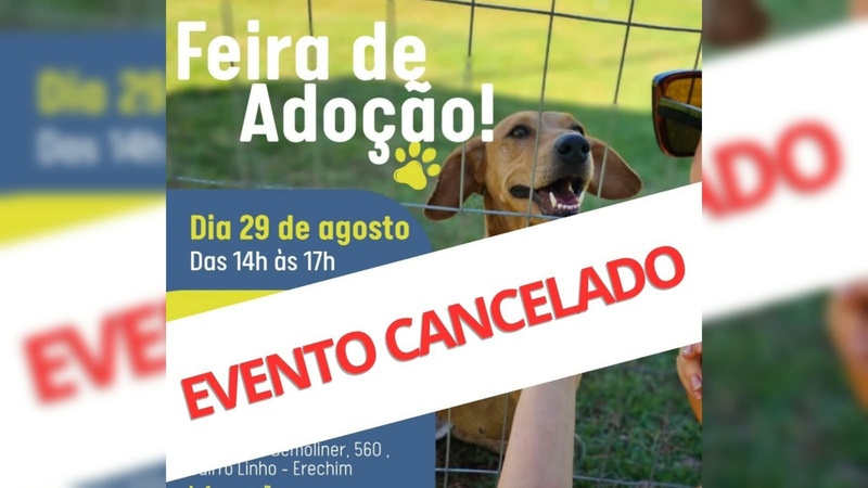 Feira de adoção é cancelada por causa da previsão do tempo, mas cães continuam esperando por um lar em Erechim