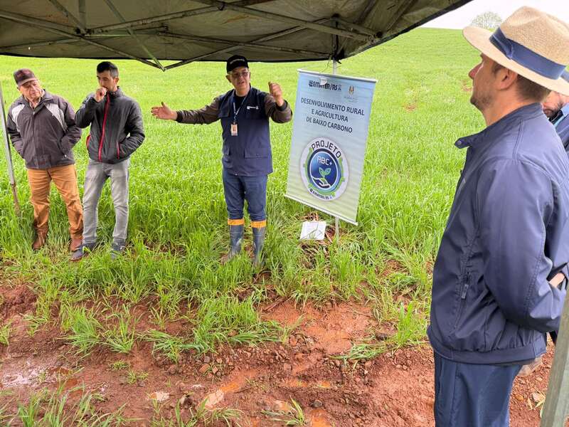 Dia de Campo reúne produtores em Erechim para discutir como enfrentar os efeitos do clima no campo