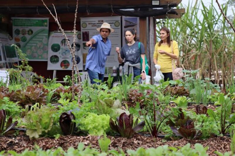 Soluções práticas para uma agricultura resiliente são apresentadas na Expointer 2026