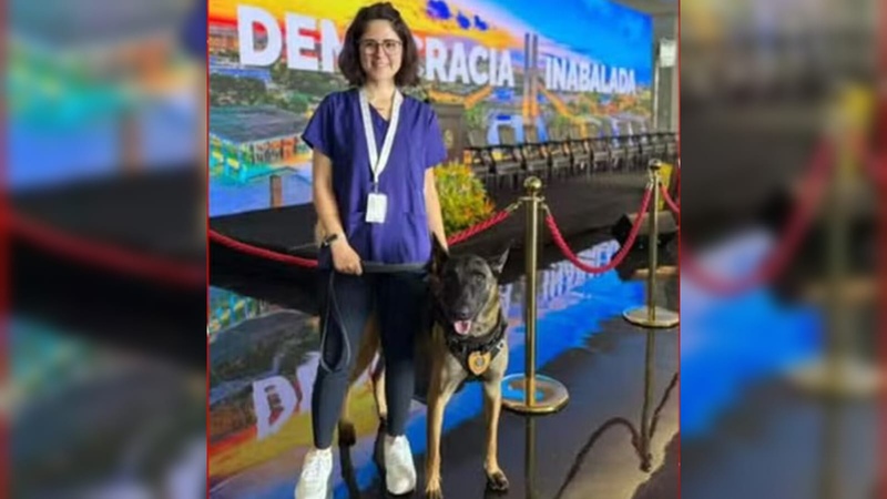 Veterinária de 36 anos morre após ser atacada por cão no Senado, em Brasília