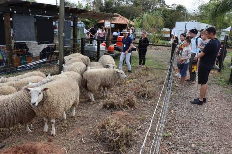 Expointer destaca técnicas para aumentar a eficiência da pecuária familiar