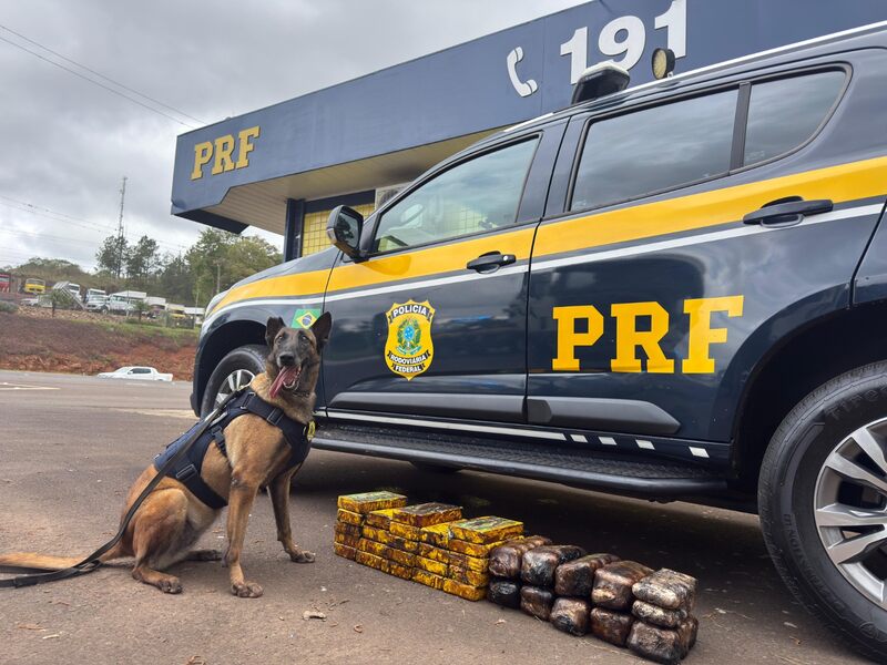 Cães da PRF encontram mais de 35 quilos de drogas escondidos em catalisador de carreta