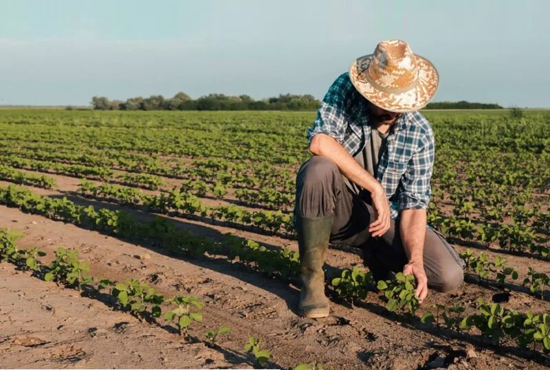 Dívidas de agricultores familiares chegam a R$ 8,5 bilhões e preocupam produtores no RS