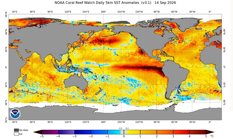 Modelos apontam El Niño 2026-2027 com potencial para entrar para a história
