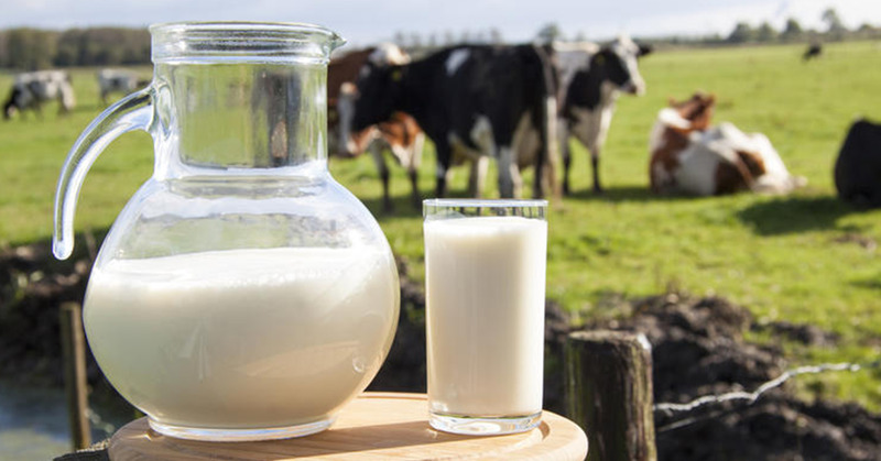 Milk Summit Mercosul começa nesta quarta-feira em Ijuí e reúne representantes da cadeia leiteira