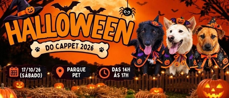 Feira de adoção com clima de Halloween busca um lar para 12 cães em Erechim