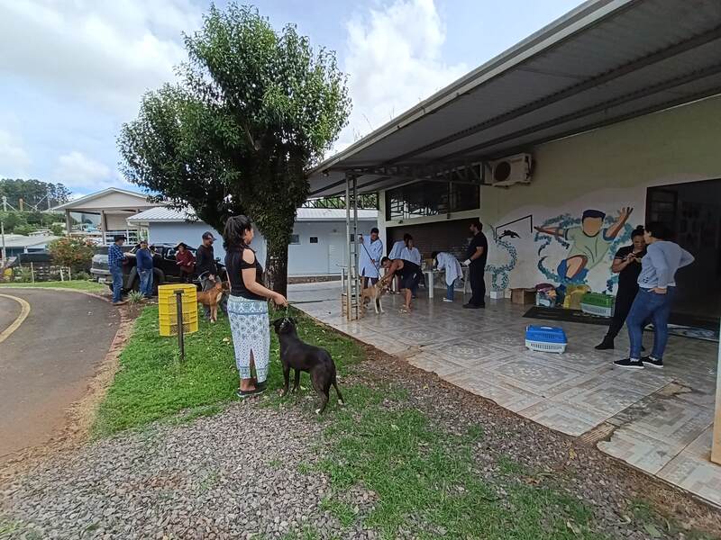 URI participa de campanha de vacinação que imuniza cerca de 100 cães e gatos em Quatro Irmãos