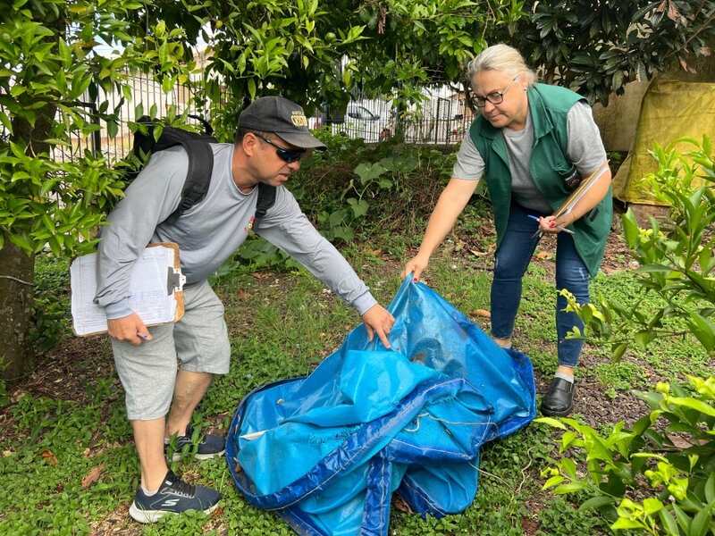 Erechim registra 11º caso de dengue em 2026 e reforça alerta para cuidados preventivos